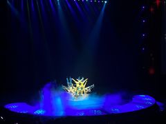 -水秀国际大剧院