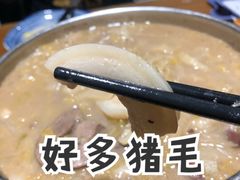 -95号酱骨·一块豆腐(展春园西路店)