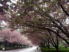 -西安理工大学(金花校区)