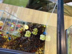 -天虹购物中心(石路店)