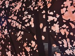-西北湖绿化广场