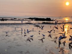 -老虎石海上公园