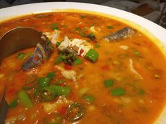 鲜椒豆花鲈鱼-川味堂·四川豆花(八卦岭店)