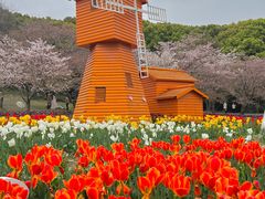 -苏州上方山国家森林公园