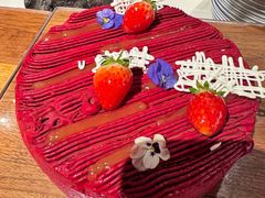 -新加坡乌节希尔顿酒店 (SG Clean)