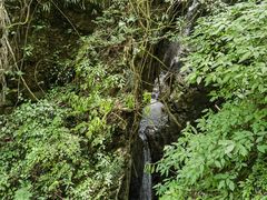 -鹿院坪生态旅游景区