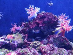 -成都浩海立方海洋公园