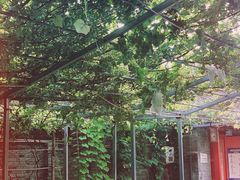 -伊隆斋(什刹海店)