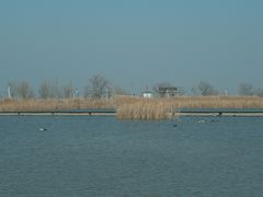-盐城丹顶鹤湿地生态旅游区