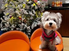 -FAELING PETS美天灵宠物(合生汇店)