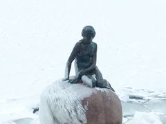 -美人鱼