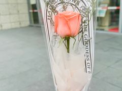 -中信银行(中信泰富广场支行)