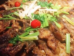 -老板恋上鱼(恒隆广场店)