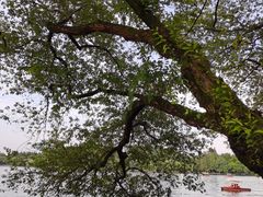 -浙江西子宾馆·瑶园咖啡厅