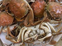 -港畔赶海蒸汽海鲜烧烤自助(仙螺岛店)