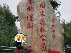 -合肥滨湖国家森林公园