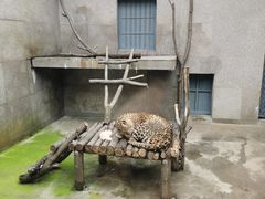 -西安秦岭野生动物园