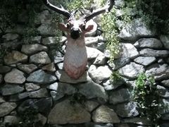 -松林阁烤肉(延大店)