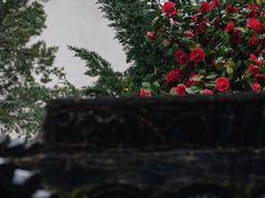 -南翔古镇
