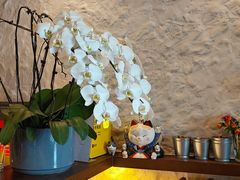 -Laures·月桂西班牙碳烤餐厅(十尚坊店)