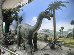 -国家自然博物馆