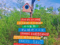-欢乐松鼠谷