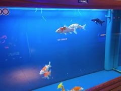 -网酷电竞馆(上地店)