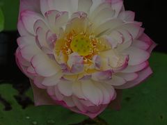 -黄兴公园