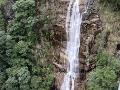 -九龙江国家森林公园