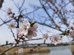-南湖国家城市湿地公园