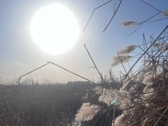 -绿堤公园