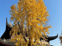 -北寺塔