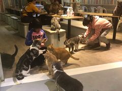 -小时光咖啡馆(开森度假森林店)