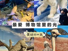 -温州博物馆