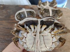 -阳澄湖大闸蟹·琼灵阁牌品牌连锁(吴中总店)