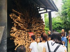 -郫都区农科村景区