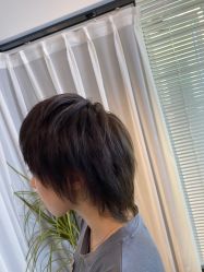 点击看大图 -藤野造型