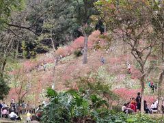 -广州市白云山风景名胜区
