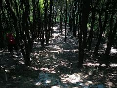 -火炉山森林公园