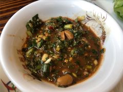 酸汤鱼小料-芦苇荡·酸汤鱼(回龙观店)