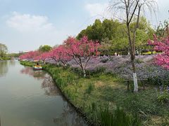 -圩墩遗址公园