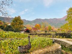 -塔川景区