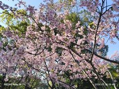 -新江湾城公园