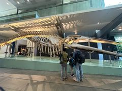 -墨尔本博物馆(Melbourne Museum)