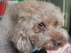 -火塘云南烧烤大排档