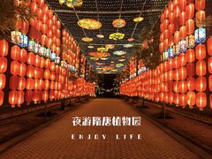 -隋唐洛阳城明堂天堂景区