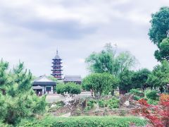 -苏州吴宫泛太平洋酒店