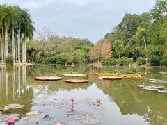 -西双版纳傣族园