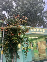 -青稚护手霜QINGZHI