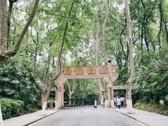 -灵谷景区